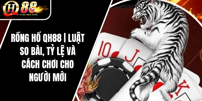 Rồng Hổ QH88 | Luật So Bài, Tỷ Lệ Và Cách Chơi Cho Người Mới 1 Rồng Hổ QH88 | Luật So Bài, Tỷ Lệ Và Cách Chơi Cho Người Mới